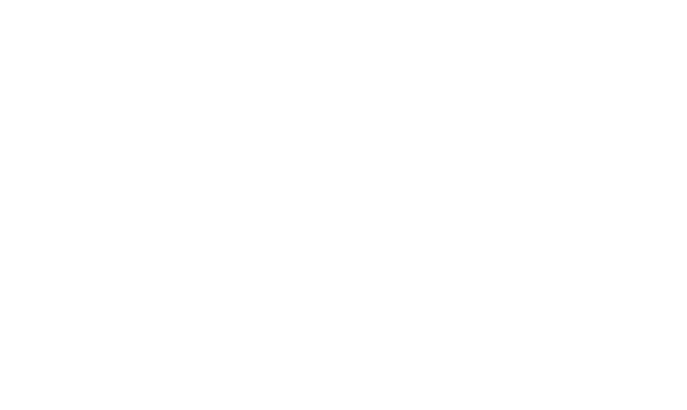 Logo Nature's Hair